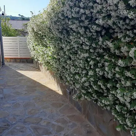 Bed & Breakfast Zurro E Breakfast Castellabate