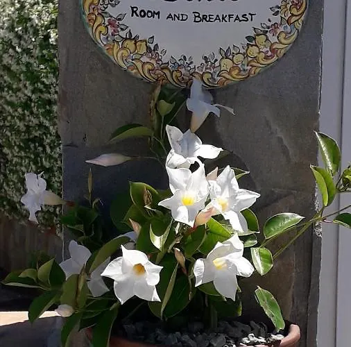 Zurro E Breakfast 住宿加早餐酒店